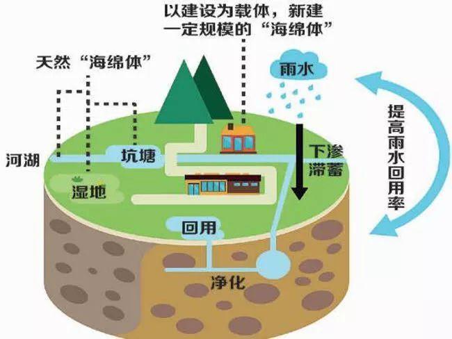 我們建造的“海綿城市”是什么樣的呢？